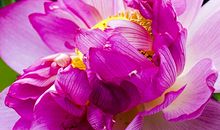 自然之美让我陶醉