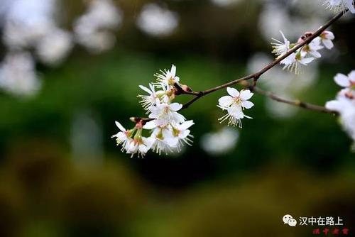 春雨春风