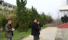 开满丁结花的校园淘气包张明作文