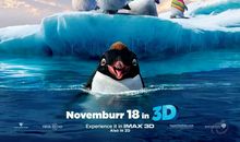 《快乐的大脚》读后感