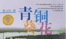 观《青铜葵花》有感