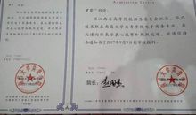 那些令我自豪的成功