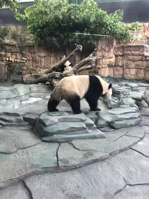 泉州海斯动物园