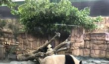 泉州海丝动物园