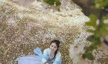 那天如果我未曾回眸