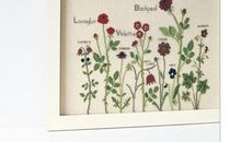 与书相伴的日子