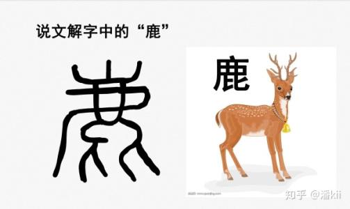 汉字，你是最美丽的