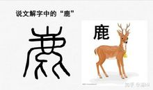 汉字，你最美