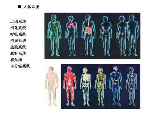 体育的味道