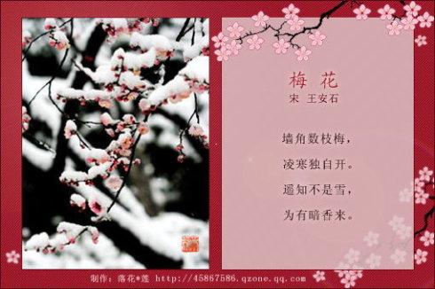 赞美梅花精神的成分