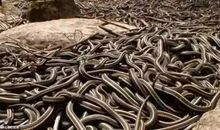 一次惨痛的经历