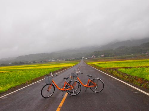 生活之路