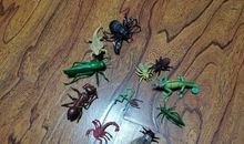 家里来了新成员