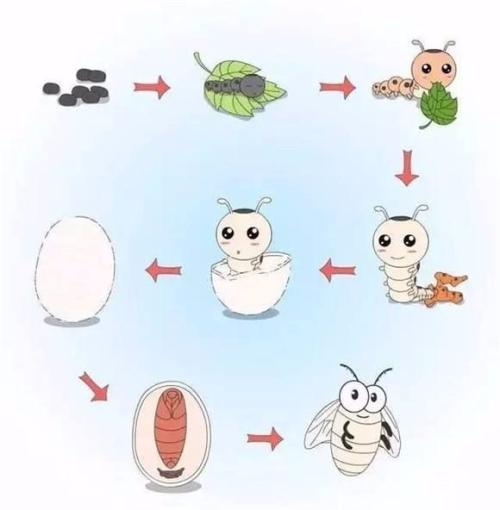 长大了有眼泪