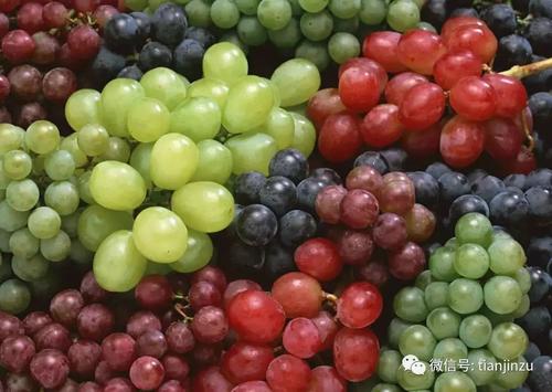 我最喜欢的水果西瓜