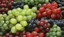 我的最爱的水果西瓜