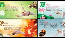 我从四季中学到的