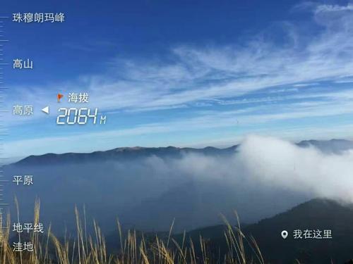 咀嚼孤独