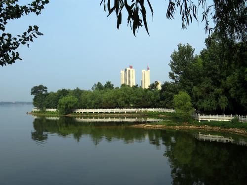 美丽的龙泉湖_600字
