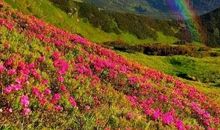 风雨过后见彩虹