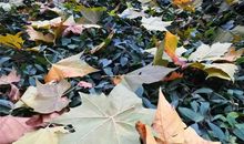 读《人间滋味》有感