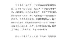 五年级作文我的心爱之物500字