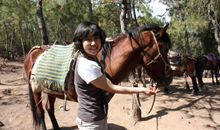 那一天，我与海相遇