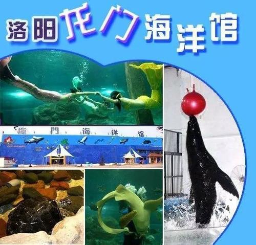 龙门水族馆
