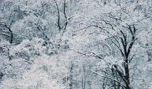 那个温暖的冬天