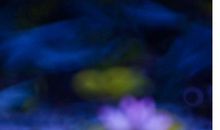 让善良走进心灵