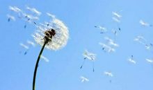 我喜欢阳光的感觉