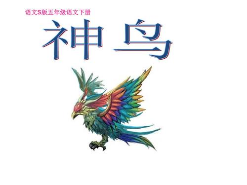 神鸟的故事
