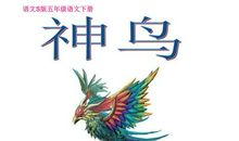 神鸟的故事