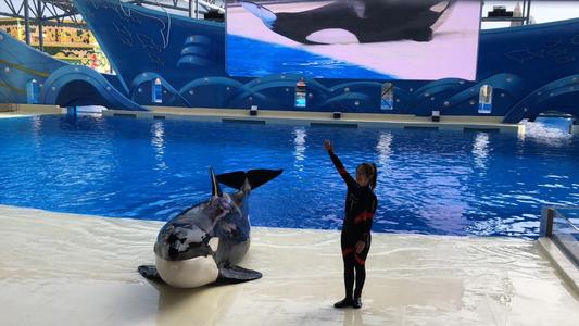 海昌海洋公园一日游