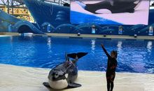 海昌海洋公园一日游