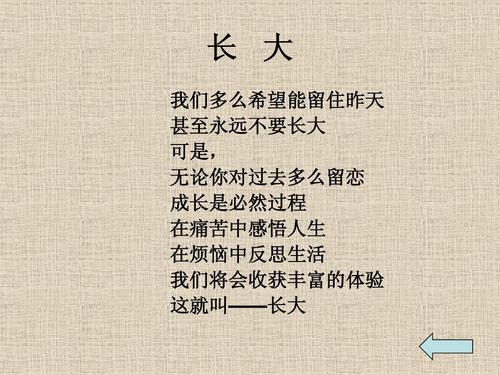 人生感悟
