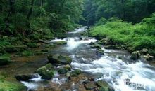 难忘的芙蓉大峡谷之旅