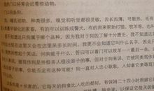 描写吃货的作文