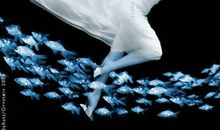 由水想到的……