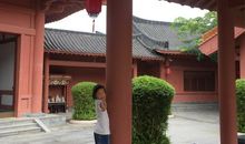 我家门前的小燕子