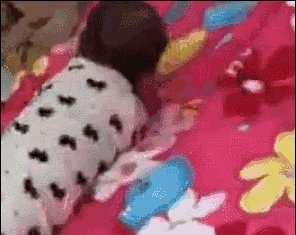 困了爸爸