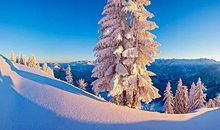 慢慢走慢慢欣赏