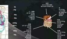 对微生物说的话