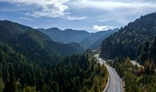 井冈山的风光最美丽