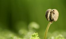 感悟生命的力量