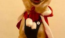 我微笑着解决了这个问题