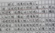 下雪了作文二年级200字