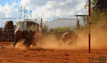 我的青春里有面香