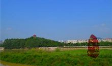 美丽的龙津公园