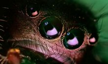 有这样一个守候者